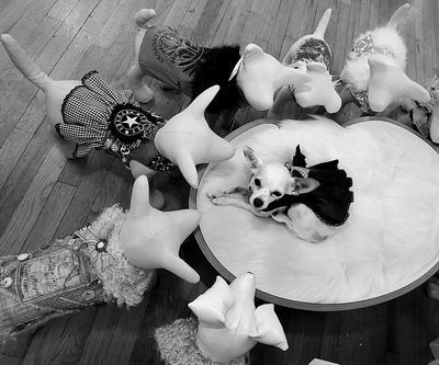 ŦԼ�ٰ����ʱװ��