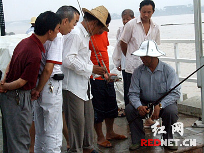 湘江渔者:姜太公钓鱼,愿者上钩(组图)