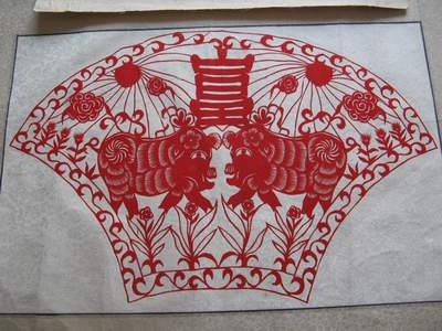 杨红兵重病中,青春依然绽放