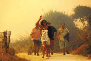 ϣ��ɭ�ִ����37��