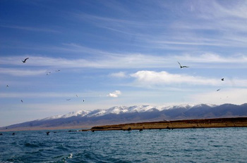 青海湖旅游何时不再遗憾游?