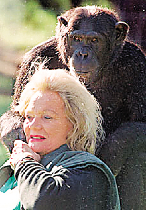 鱼肝油排行榜_盘点2013年鱼肝油品质排行榜,展望2014(组图)