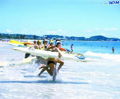 APEC穿什么澳大利亚犯了难 蓝背心和短裤是