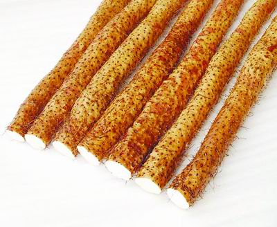 争创十大中药材种植基地 打造特色区域经济名