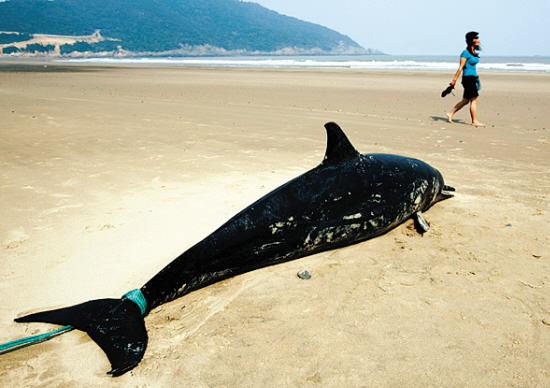 ������������