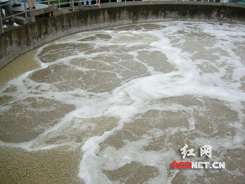 连线浙江--访绍兴县东盛印染循环经济(图)