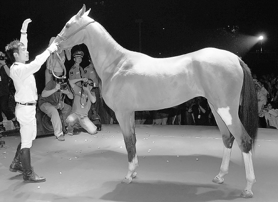 汗血宝马_新闻中心_新浪网