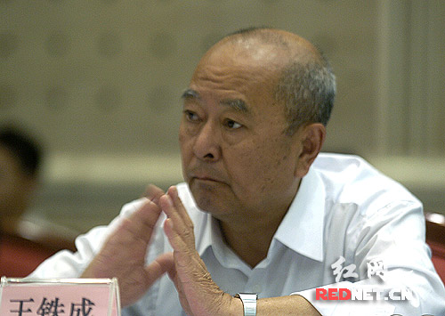 湖南向全国政协调研组汇报文化遗产保护情况(