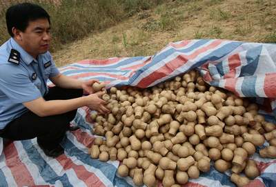 警方捣毁一非法烟花爆竹窝点 缴获炸药200余公