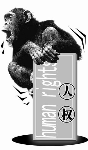 为解决猩猩吃住奥地利动物保护组织为猩猩讨人