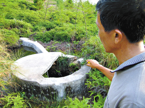 太平洋丽龟海龟湾过长假