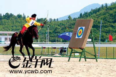 流溪马术场试马