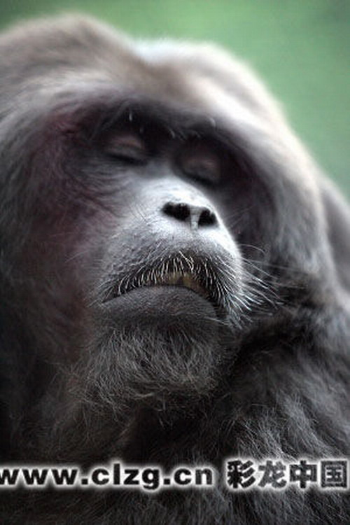 http:\/\/news.sina.com.cn\/o\/2007-10-15\/0251