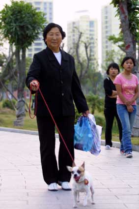 宠物狗公园放风排泄物污染环境