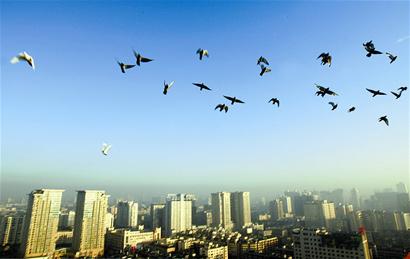 一幅窗含西岭千秋雪新闻图片,展现成都市生态