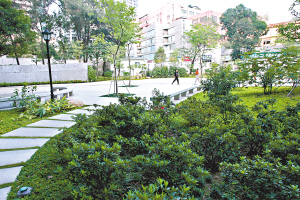 黄花岗公园增4000平方绿地