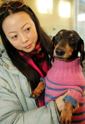 小狗移民日本 主人花9个月办签证(图)_新闻中心