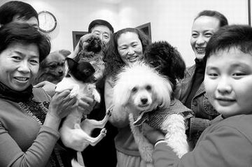 朝三暮四郎遇上水性杨花女 社区居民以狗会