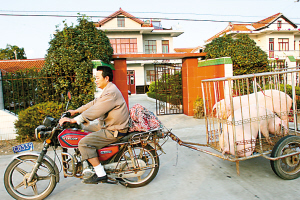 三峡移民:我在上海挺好的(图文)