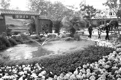 图文:画桥菊香处孤舟蓑笠翁