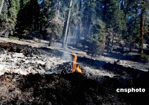 图:美国南加州大火灾区一片残败景象