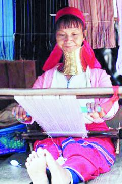 ̩���������Ů���Գ���Ϊ��