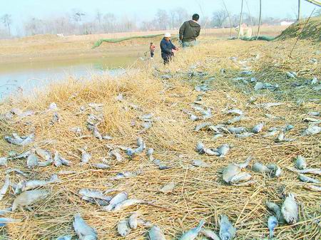 点击图片进入下一页