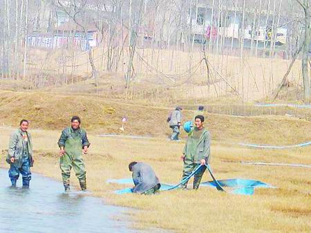 点击图片进入下一页