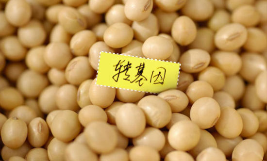 一号文件首提转基因意味啥?