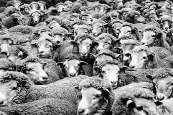 ����ͬ����������ȡ��ı�����(��ͼ)