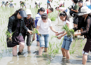 和平区学校师生宁河县社会实践(图)