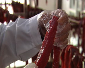 CCTV-7《致富经》:见异思迁的养牛户