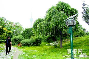 太阳能杀虫灯进公园(图)