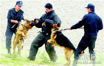 ������ĩ�����ܽӴ�����Ȯ