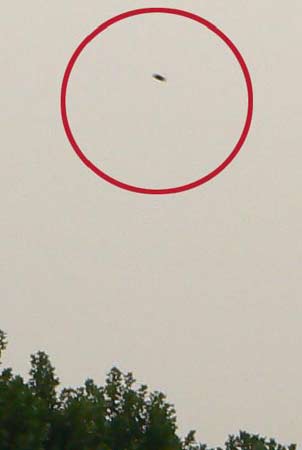 ֣�ݳ���Բ��״����������(ͼ)