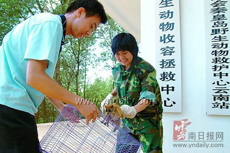 小蜂猴私闯民宅偷吃葡萄