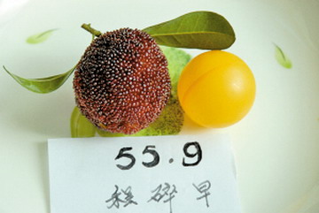 ��55.9��������÷�ĵ�3000Ԫ�߼�(ͼ)