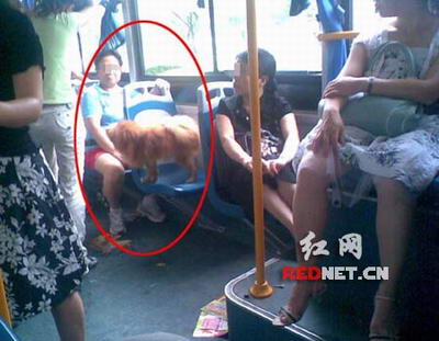 �������Ϲ�ռ��λ���ѳ����˷绯(ͼ)