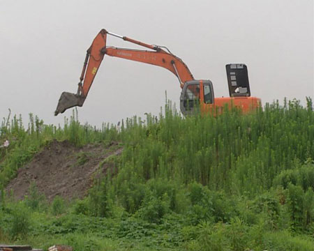 少女死亡事件调查