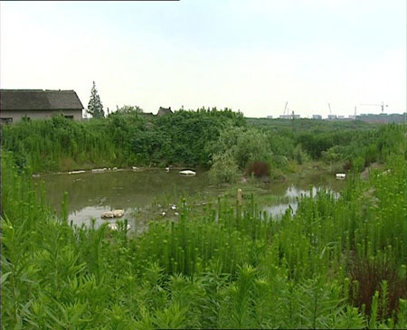 少女死亡事件调查