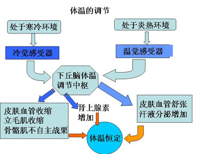 最近天气炎热小儿常发烧 这是小孩夏天高发的