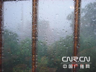 宁波骤降暴雨 狂风带来冰雹[图文]
