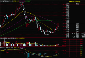 东方电子用股票赔股民