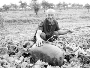 他不知道世界上最大的西瓜有多重