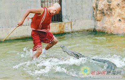 ѱ��Ա���������ʮ����(ͼ)