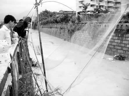 台风后 捕鱼人的收获