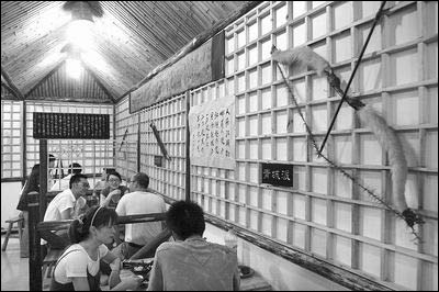 武林餐馆取名 饿人谷 生意火(图)