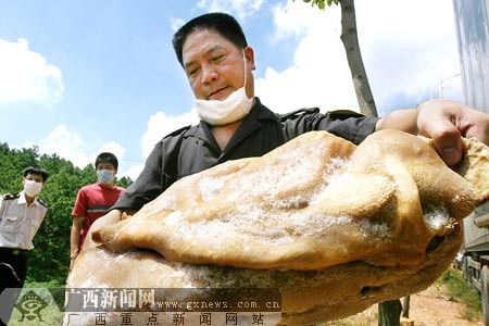 然后将这批冻牛肚卸入深坑中