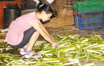 女大学生因家贫5点起床拣拾剩菜(图)