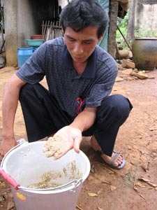 50头猪被喂食三无饲料后死亡(图)